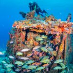 BVI SCUB DIVING