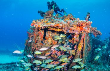 BVI SCUB DIVING