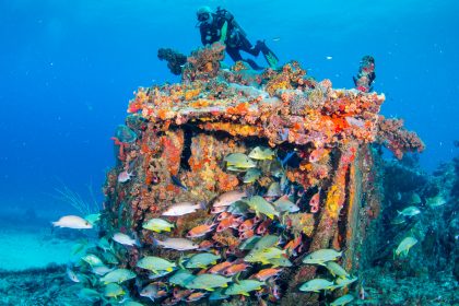 BVI SCUB DIVING