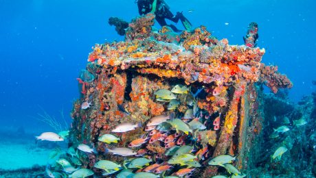 BVI SCUB DIVING